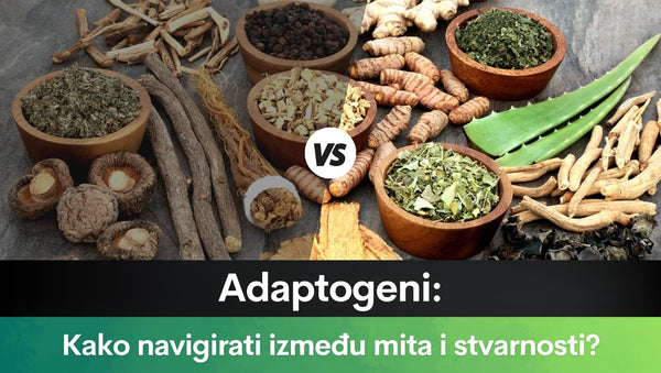 Adaptogeni: Kako navigirati između mita i stvarnosti?