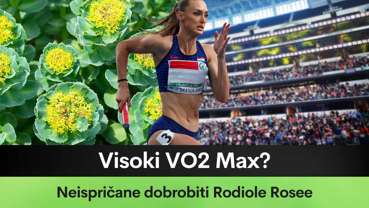 Visoki VO2 Max? Neispričane dobrobiti Rodiole Rosee