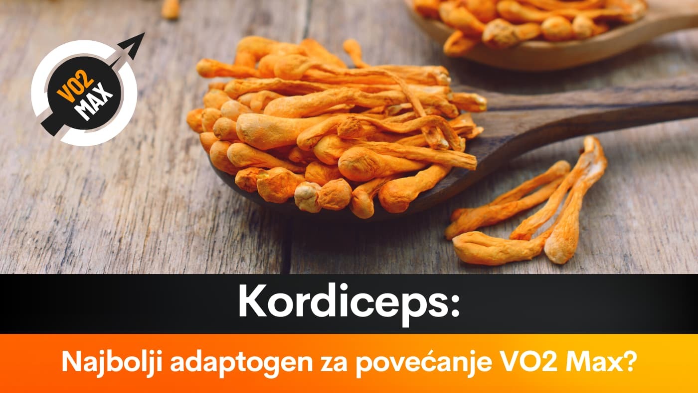 Kordiceps: Najbolji adaptogen za povećanje VO2 Max?