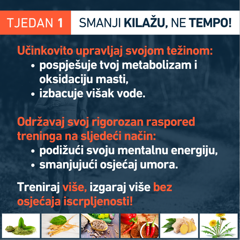 Fusion_4EndurancePro_sagorjeva__masti_i_VO2_max